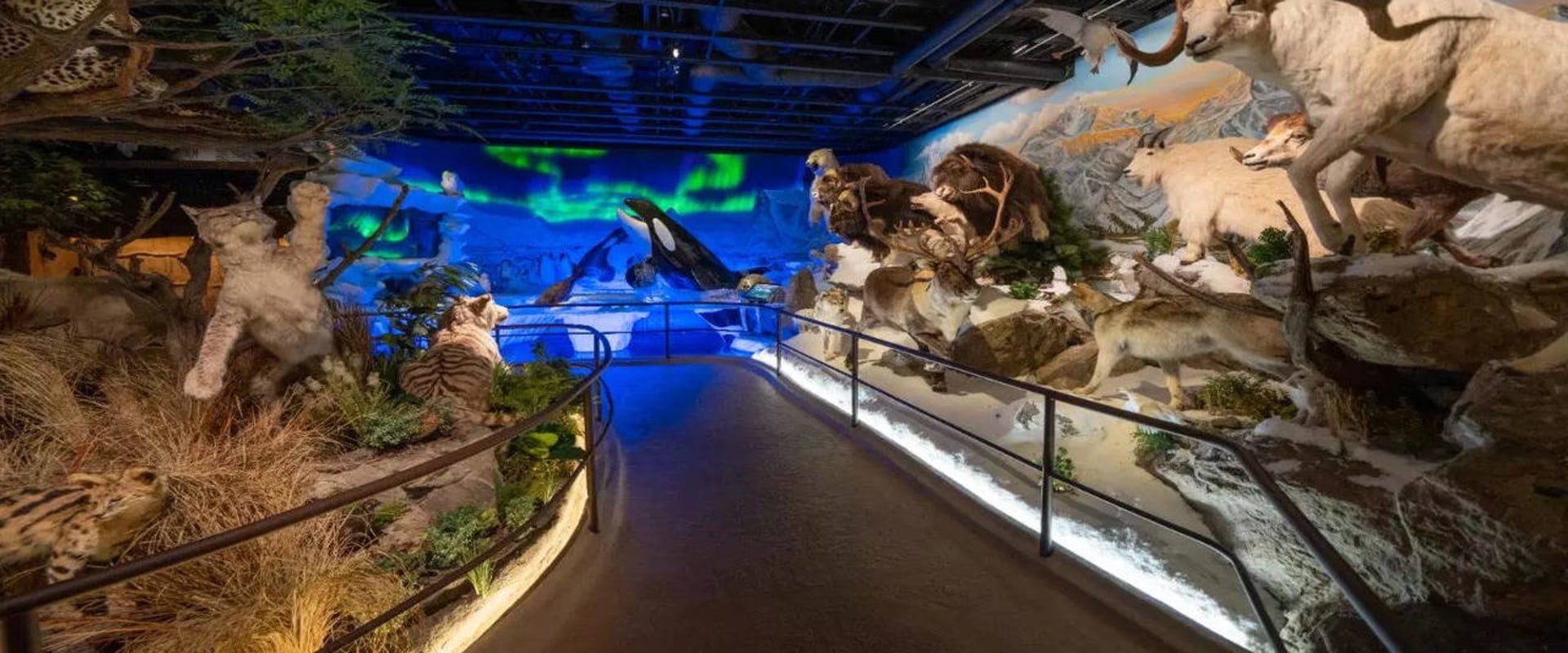 Discovering the Artistic Gems: Must-Visit Art Galleries in Northern California
