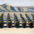 The Impact of Northern California's Landscape on Artists