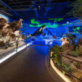 Discovering the Artistic Gems: Must-Visit Art Galleries in Northern California
