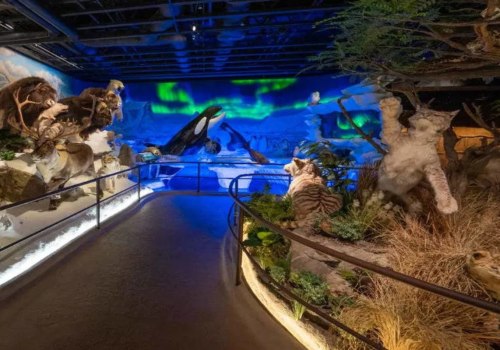 Discovering the Artistic Gems: Must-Visit Art Galleries in Northern California